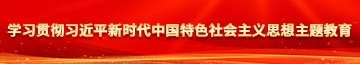 被鸡巴弄女生视频在线观看学习贯彻习近平新时代中国特色社会主义思想主题教育